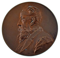 Ausztria 1900. "Nicolaus Dumba" Kétoldalas Bronz Emlékérem. Szign.: Anton Scharff (55mm) T:XF, Patina Austria 1900. "Nic - Unclassified