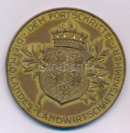 Ausztria 1929. "Dem Fortschritte - Die Niederösterreiches Landes-Landwirtschaftskammer (A Haladásért - Alsó-Ausztriai Ál - Unclassified