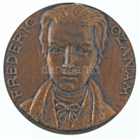 Franciaország DN "St. Vincent De Paul / Frederic Ozanam" Bronz Emlékérem. Szign.: Müller (58mm) T:XF France ND "St. Vinc - Unclassified