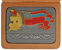 Szovjetunió / Grúzia ~1960-1980. Fém Plakett Festett Vörös Csillaggal, Aranyozott Sarló-kalapács Jelképpel, Illetve A Gr - Unclassified