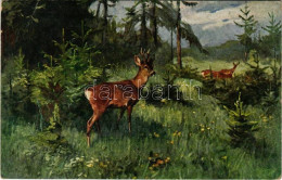 ** T4 Maimorgen / Hunting Art Postcard With Deer. Münchener Kunst Nr. 263. S: P. Leuteritz (lyuk / Pinhole) - Unclassified