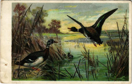 * T4 Hunting Art Postcard With Ducks. "Waidmanns Heil" Serie 48. Litho S: Döcker Jun. (lyuk / Pinhole) - Unclassified