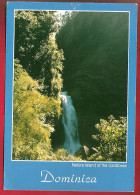 CP Antilles Dominique Dominica Trafalgar Falls - Cascade Chute D'eau ... Photo Bob Reardon - N° 345-E - Dominica