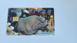 Maldives-(256MLDGIA-MAL-C-02)-moray Eel-(66)-(RF50)-(256MLDGIA01717160)-used Card - Maldives