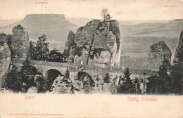 [-5%] ALLEMAGNE - Bastei - Sachs Schweiz - Paul Heine Dresden N Dobelnerstr - Carte Postale Ancienne - Bastei (sächs. Schweiz)