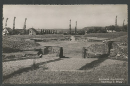 Carte P ( Römisches Amphitheater Vindonissa B . Brugg ) - Brügg