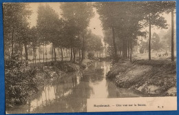 Ruysbroeck 1910: Une Vue Sur La Senne - Sint-Pieters-Leeuw