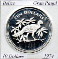 BELICE 1974, 10 DOLLARS, GRAN PAUJIL, AG, PROOF, 2 ESCANER - Belize