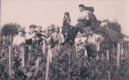 Etoy VD, Scène De Vendanges, La Bossette Et Les Vendangeurs (981) - Étoy