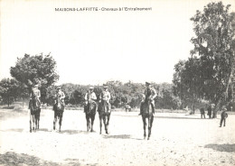 Delcampe - 78 Maisons Laffitte Chevaux à L' Entrainement Cheval Jockey Course Galop PMU CPM Collection Tabac Le Marigny - Maisons-Laffitte