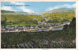 [-5%] LUXEMBOURG - Vallée De La Moselle - Machtum - Colorisé - Edit W Capu Luxembourg No 7 - Carte Postale Ancienne - Troisvièrges