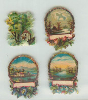 CHROMOS - DECOUPIS -  FLEURS -  PAYSAGE - Fleurs