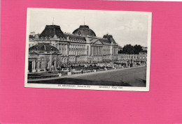 Delcampe - BELGIQUE---BRUXELLES---Palais Du Roi---voir 2 Scans - Monumenti, Edifici
