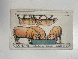 W0491 - Chromo Image - Chocolat Révillon Découpages Découpi - La Ferme - Cochons - Revillon