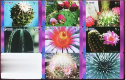 China TT Cactus  - Flowers