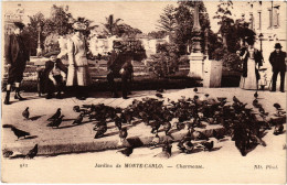 Delcampe - PC MONACO JARDINS DE MONTE-CARLO CHARMEUSE (a46147) - Exotischer Garten