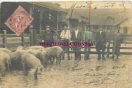 170225 - RARE !! CARTE PHOTO - 13 BOUCHES DU RHONE - MARSEILLE Ferme Agricole Porc - Non Classés