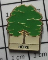 410E Pin's Pins / Beau Et Rare / AUTRES / ARBRE HETRE Par FONDATION DE LA FORET - Navidad