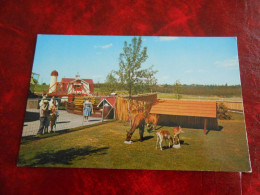 Storyland Valley EDMONTON ALBERTA The Children's Zoo Young Elk And English Spotted Deer Photo  Canada - Edmonton
