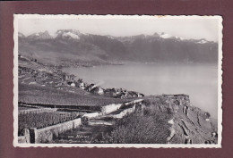 RIVAZ - 1947 - Rivaz