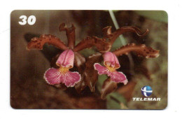 Fleur Flower Télécarte Brésil Phonecard  (KV 03) - Flowers