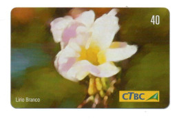 Fleur Flower Télécarte Brésil Phonecard  (KV 06) - Flowers