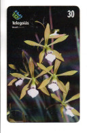 Fleur Flower Télécarte Brésil Phonecard  (KV 09) - Flowers
