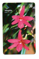Fleur Flower Télécarte Brésil Phonecard  (KV 10) - Flowers