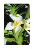 Fleur Flower Télécarte Brésil Phonecard  (KV 12) - Flowers