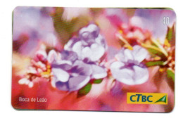 Fleur Flower Télécarte Brésil Phonecard  (KV 13) - Flowers