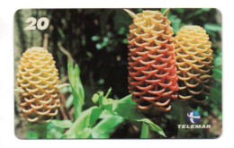 Fleur Flower Télécarte Brésil Phonecard  (KV 14) - Flowers
