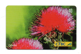 Fleur Flower Télécarte Brésil Phonecard  (KV 18) - Flowers
