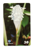Fleur Flower Télécarte Brésil Phonecard  (KV 21) - Flowers