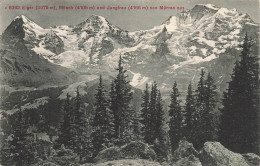 [-5%] SUISSE - Eiger - Monch - Jungfrau Von Murren Aus - Forêt - Montagne - Edit Photoglob Co Zurich - Carte Postale Anc - Mürren
