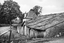 [-5%] BELGIQUE - Bertrix - Les Plus Vieilles Pierres De Burhalmont - Edit Papaterie Schreder - Carte Postale Ancienne - Bertrix