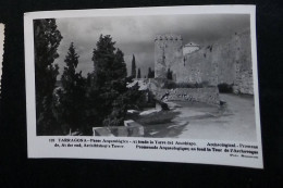 Delcampe - Cp, Espagne, Tarragona, Pasec Arqueologico, Al Fondola Torre Del Arzobispo, Vierge - Tarragona