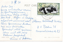 75800 - DDR - 1970 - 10Pfg Kaninchen EF A AnsKte -> Westberlin - Lapins