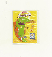 MAGNET SAVANE AMERIQUE DU SUD ARGENTINE SOUS BLISTER FERME. - Tourism