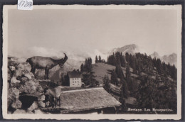 Bretaye - Bouquetins Du Parc Etz Au Fond La Caserne (17'284) - Bretaye