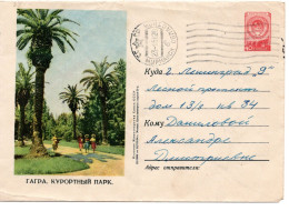 76035 - Russland / UdSSR - 1954 - 40K Wappen GAU "Gagra. Kurpark" MURMANSK -> LENINGRAD - Briefe U. Dokumente