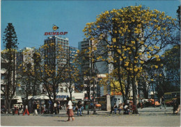 CPM Curitiba Praca Tiradentes BRAZIL (1085403) - Curitiba