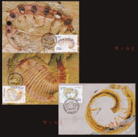 China 2024-4 Fossil Found In Chengjiang  Maximum Cards - Fossils