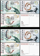 China 2024-4 Fossil Found In Chengjiang  Maximum Cards - Fossils