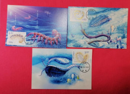 China 2024-4 Fossil Found In Chengjiang  Maximum Cards - Fossils
