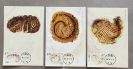 China 2024-4 Fossil Found In Chengjiang  Maximum Cards - Fossils
