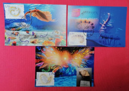 China 2024-4 Fossil Found In Chengjiang  Maximum Cards - Fossils