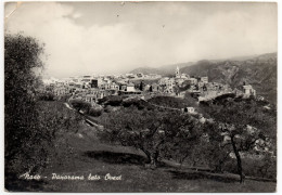 Delcampe - Naso - Panorama Con Ulivi - Messina