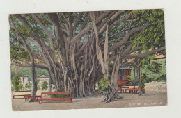 CARTOLINA ILLUSTRATA HAWAII - HONOLULU DEL 1918 VERSO OLANDA WW1 - Hawaï