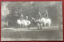 Munster Rare Carte-Photo Acrobate à Chevaux Située Et Oblitérée à Munster A Circulée Le 09/09/1912 - Munster