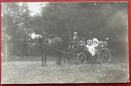 Munster Rare Carte-Photo Attelage Avec Cocher Oblitérée à Munster Le 26/05/1912 - Munster
